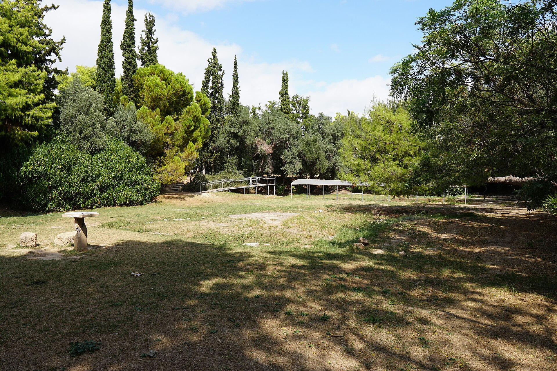 The archaeological park of Plato’s Academy in Athens, with cypress and pine trees.